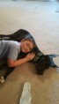 /album/photo-gallery-dixies-puppies/dakota-and-coal-jpg1/